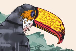toucans, Art, Psychedelic, Color, Vector, Animals, Birds, Tropical, Bright