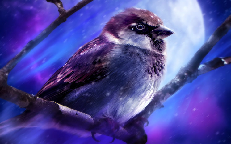 animals, Birds, Painting, Art, Moon HD Wallpaper Desktop Background
