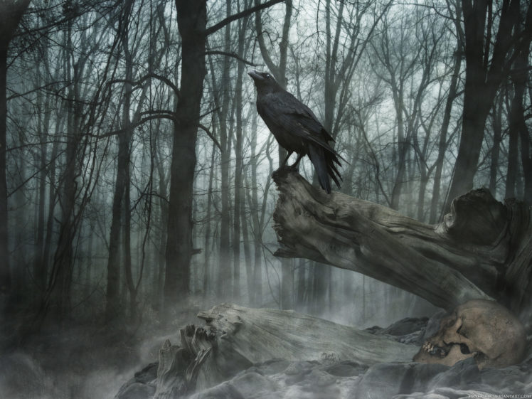 poe, The, Crow, Raven, Gothic, Trees, Darl, Mood HD Wallpaper Desktop Background