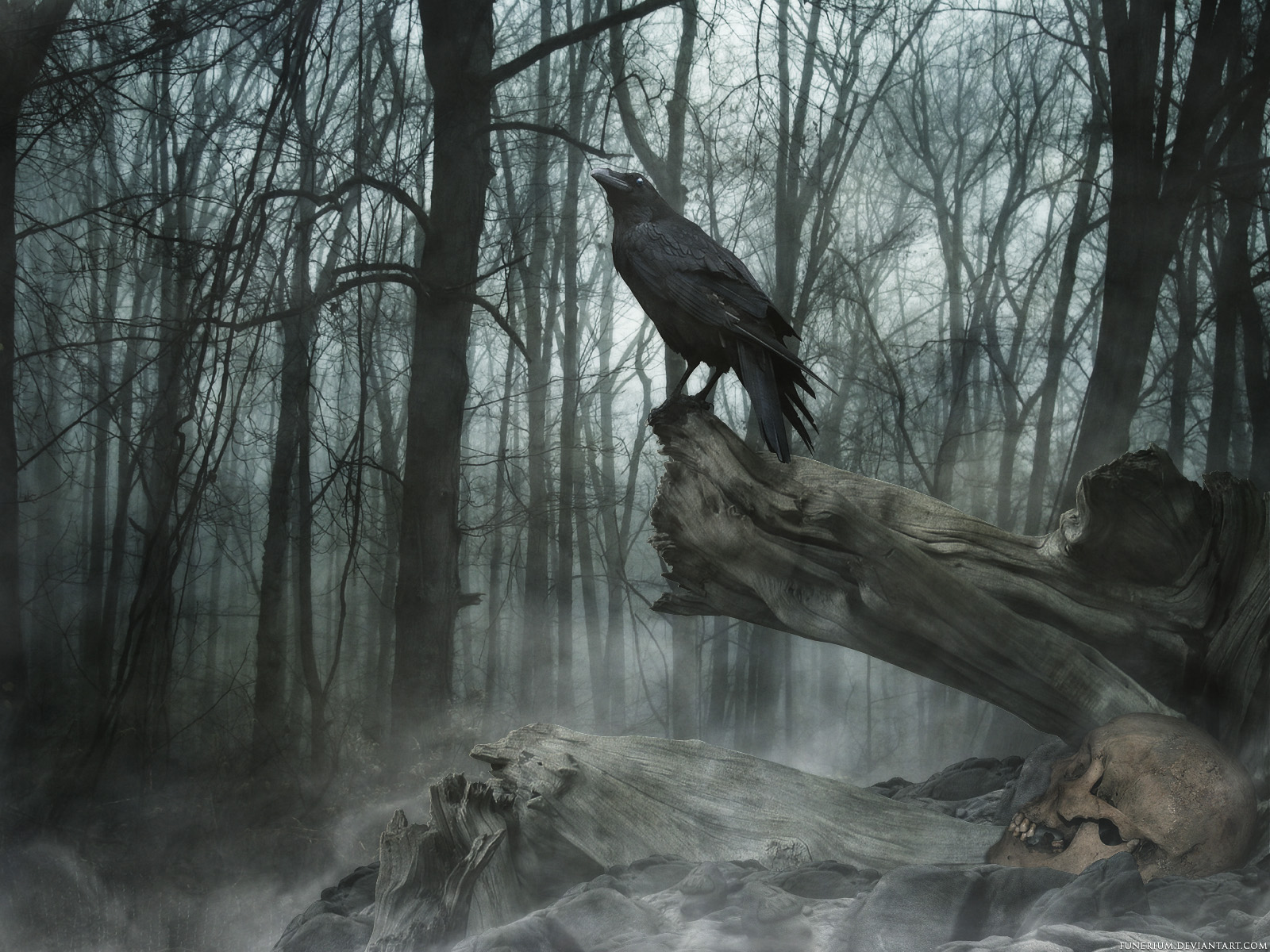 poe, The, Crow, Raven, Gothic, Trees, Darl, Mood Wallpaper