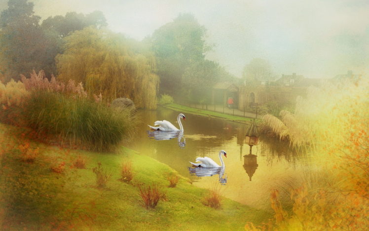 art, Paintings, Swans, Lakes, Ponds, Nature, Landscapes HD Wallpaper Desktop Background