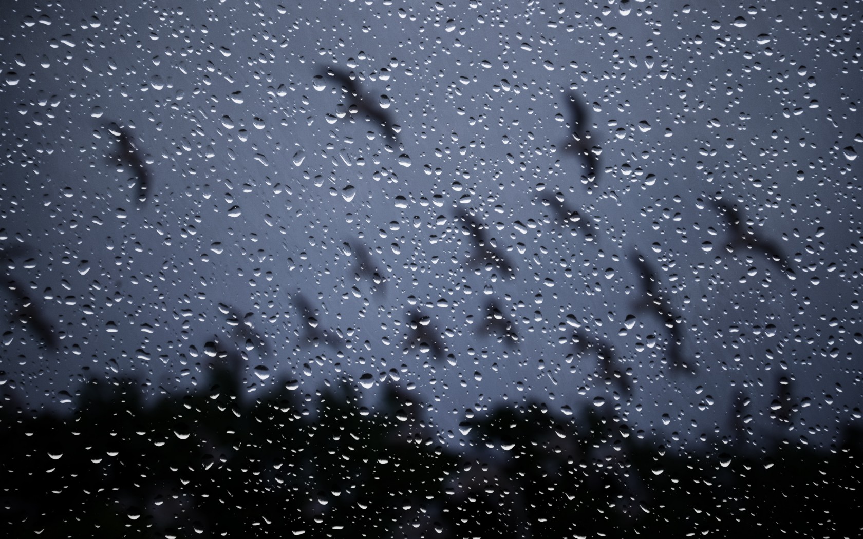 drops, Rain, Storm, Glass, Window, Nature Wallpaper