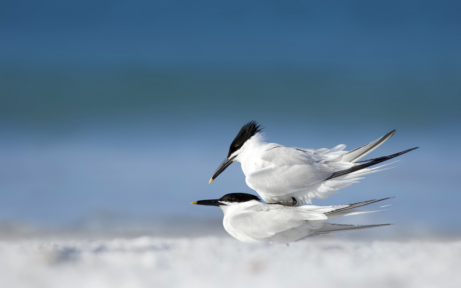 beaches, Macro, Sand Wallpaper