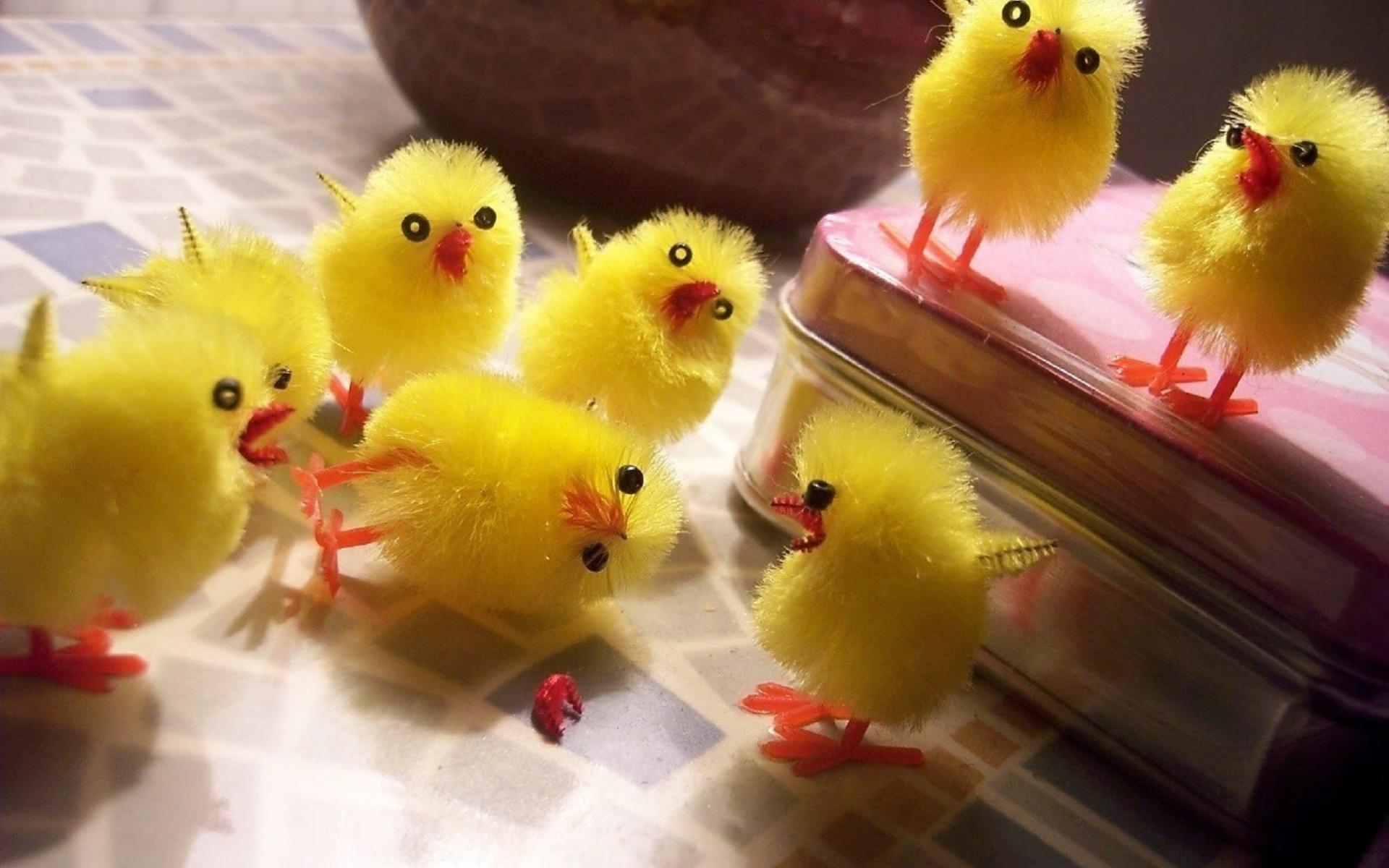 , 1, A, Chicks, Birds, Cute, Toys, Chickens, Easter, Humor Wallpaper