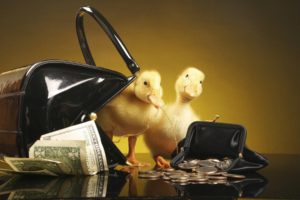 ducklings, With, Purse, And, Money