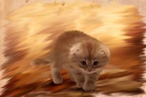 furry, Kitten, Cat, Painting