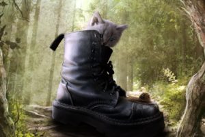 cats, Boots, Kittens, Animals, Trees, Forest