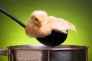 green, Animals, Spoons, Duckling, Dinner, Ladle