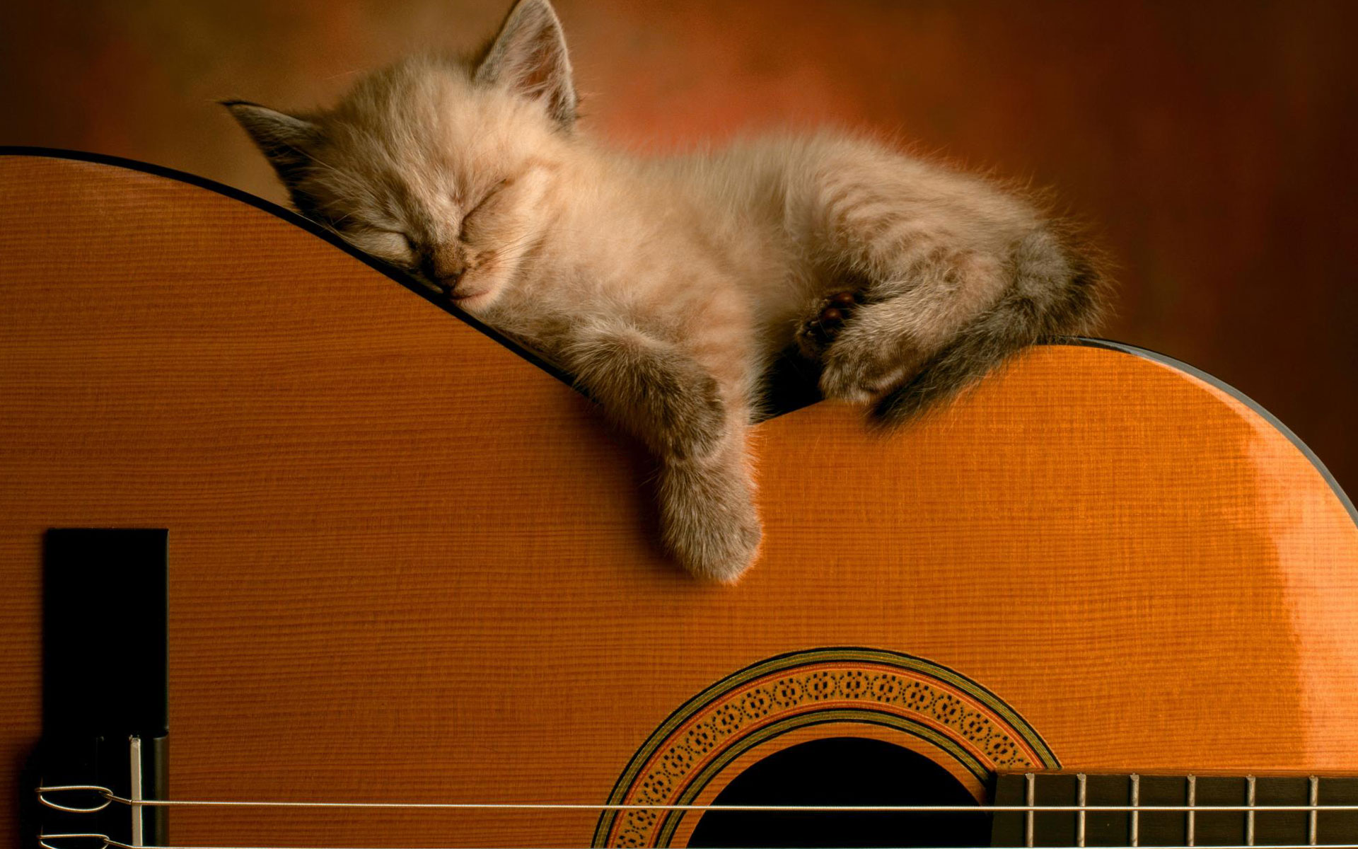 sleeping, Soundly Wallpaper
