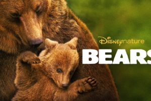 bears, Brown, Bears, 2014, Movies, Animals, Baby, Cub