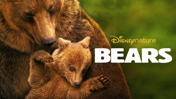 bears, Brown, Bears, 2014, Movies, Animals, Baby, Cub HD Wallpaper Desktop Background