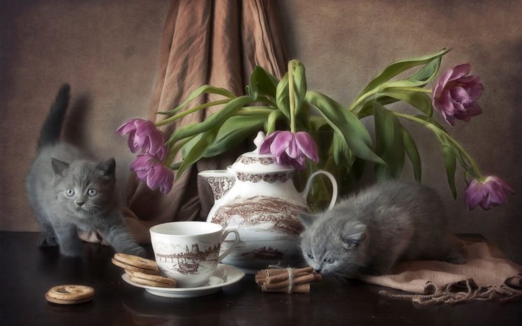 kitten, Table, Cookies, Flowers HD Wallpaper Desktop Background