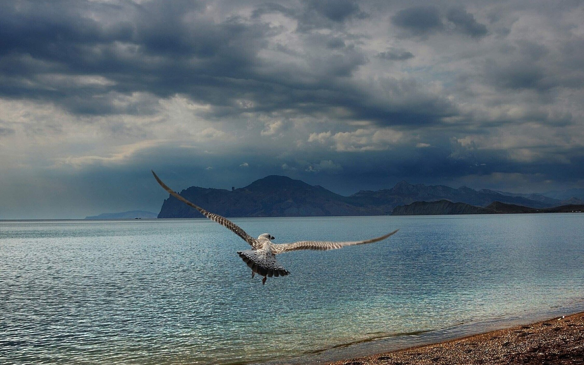 eagle, On, Sea Wallpaper