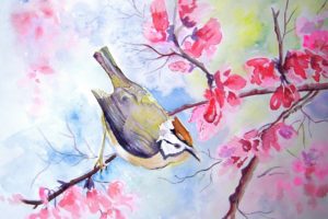 bird, Tree, Watercolor, Flowers, Blossoms
