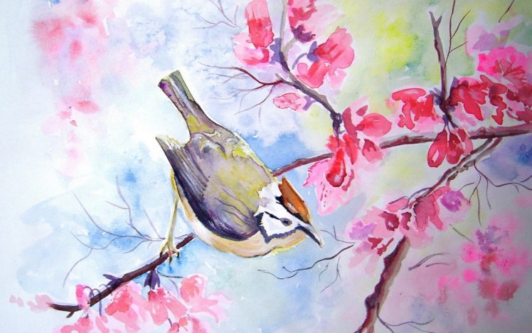 bird, Tree, Watercolor, Flowers, Blossoms HD Wallpaper Desktop Background