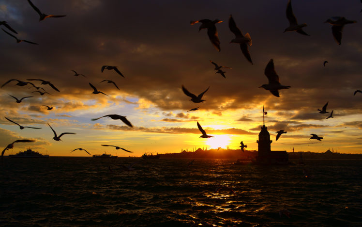 istanbul, Sunset, Birds, Ocean HD Wallpaper Desktop Background