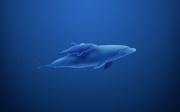 dolphins, Sea, Drawing, Dolphin, Underwater, Ocean HD Wallpaper Desktop Background