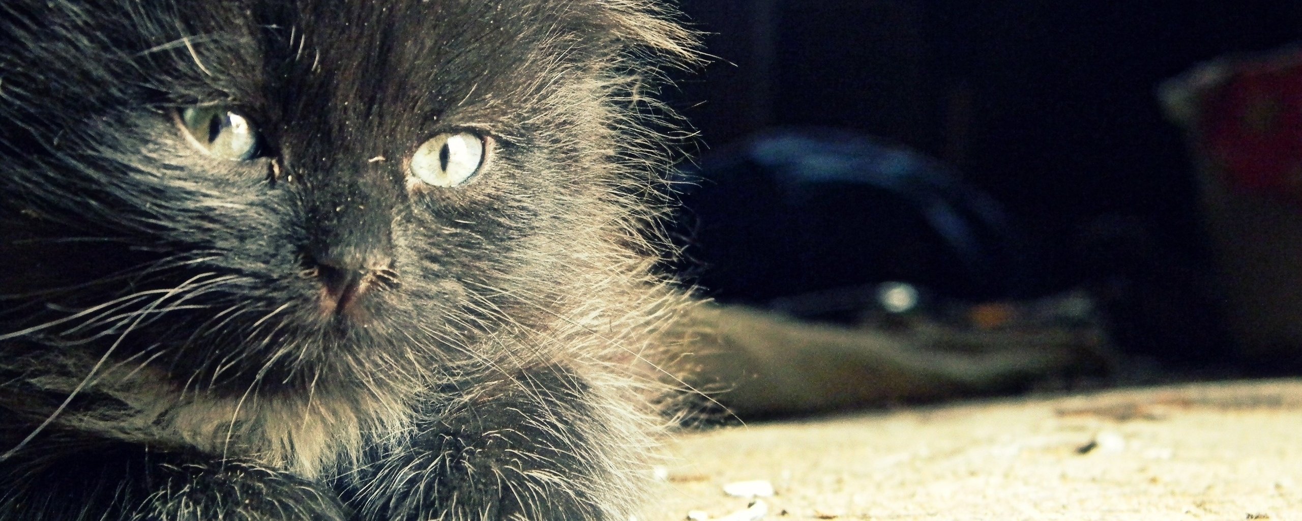 multi, Monitor, Dual, Screen, Widescreen Wallpaper