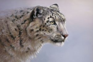 big, Cats, Snow, Leopards, Painting, Art, Glance