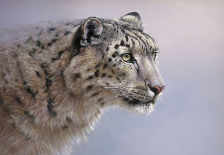 big, Cats, Snow, Leopards, Painting, Art, Glance HD Wallpaper Desktop Background