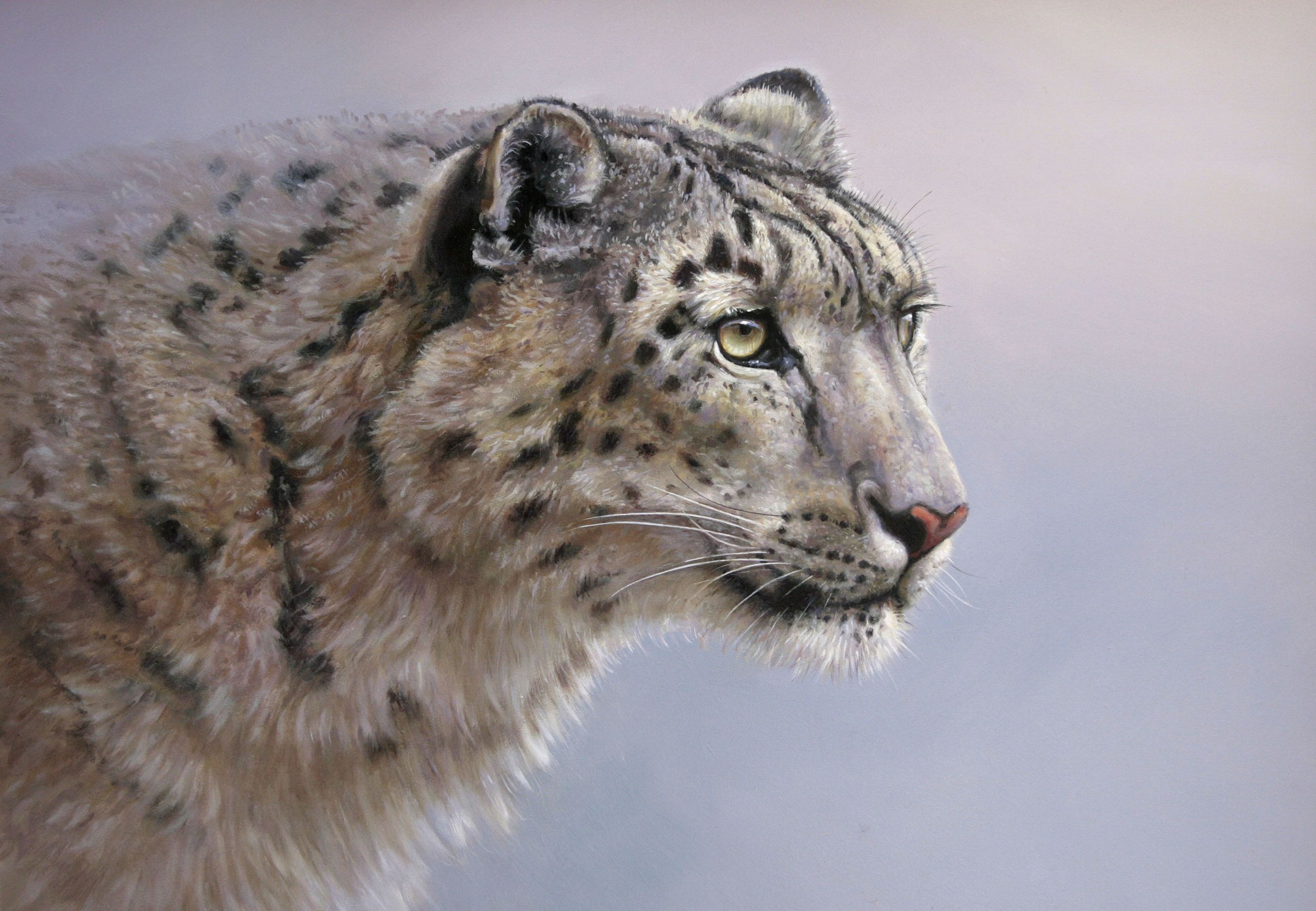 big, Cats, Snow, Leopards, Painting, Art, Glance Wallpaper