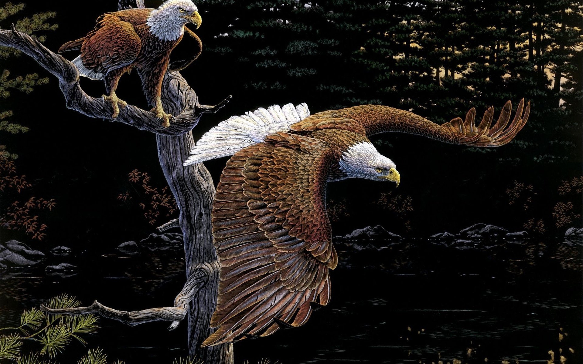 birds, Eagles, Art, Al, Agnew, Tree, Forest Wallpapers HD / Desktop and