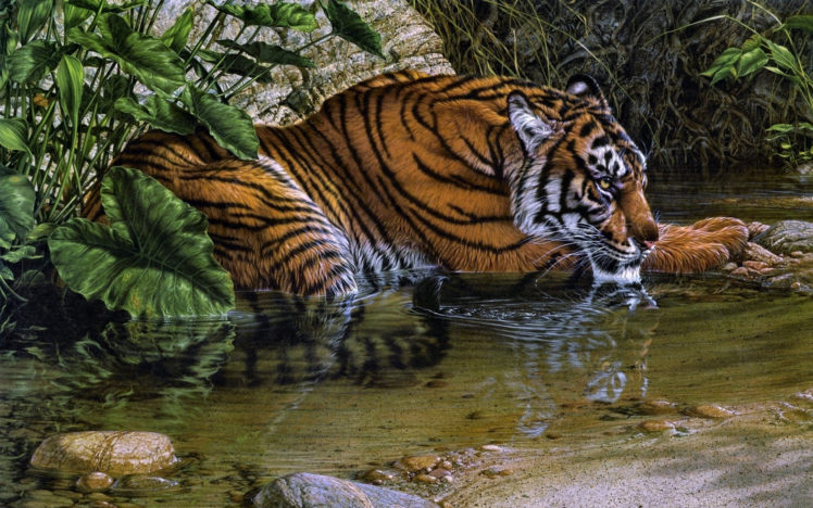 tiger, Drawing, Art HD Wallpaper Desktop Background