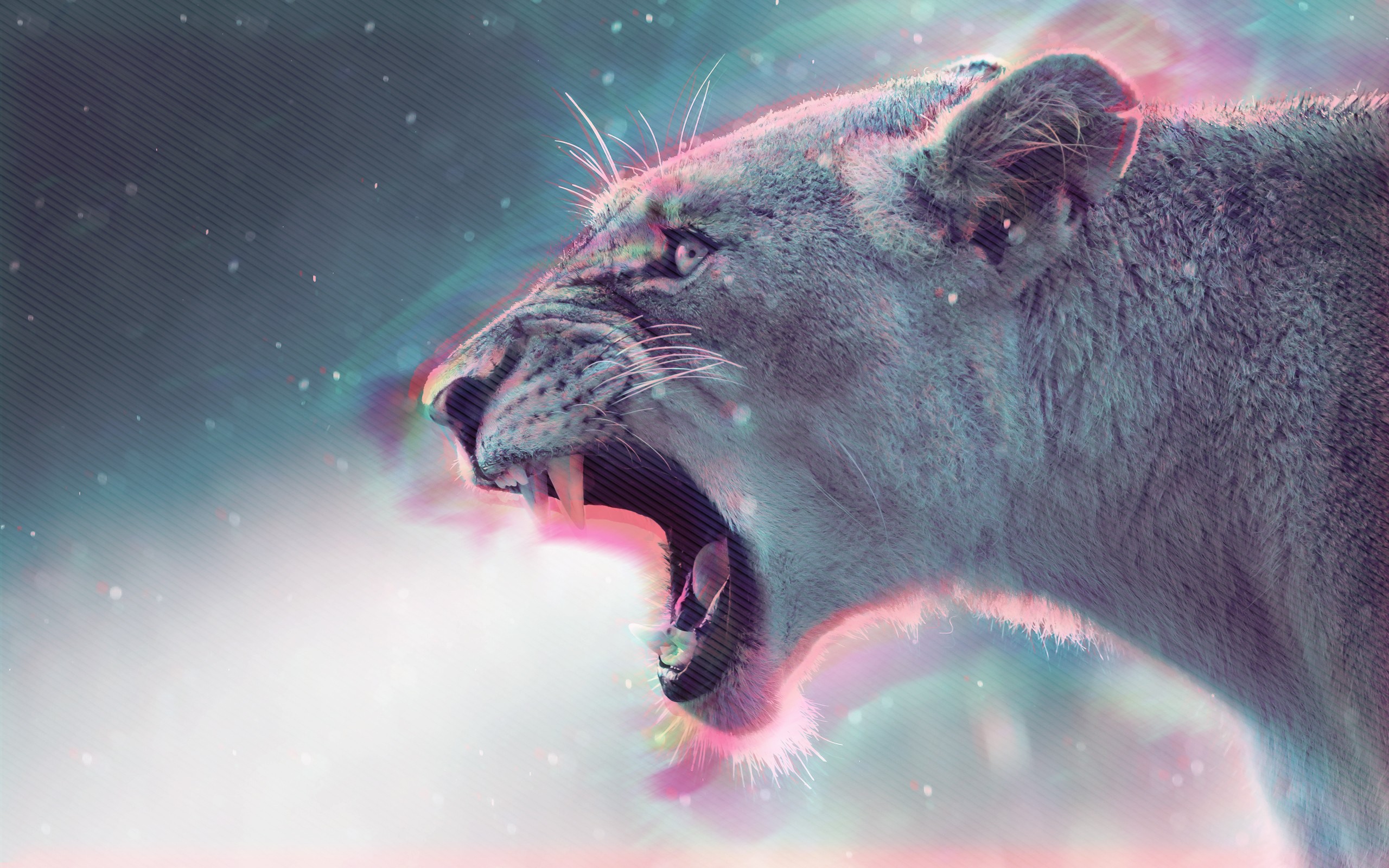 lion, Lions Wallpaper