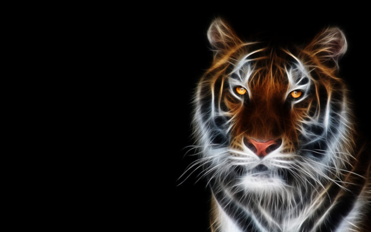 tiger, Fractal, C g, Tigers, Cat, Cats HD Wallpaper Desktop Background
