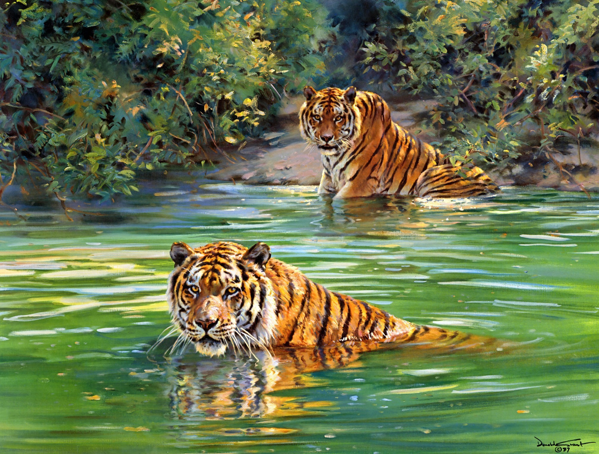 donald, Grant, Tigers, Painting, River, Tiger, Jungle Wallpaper