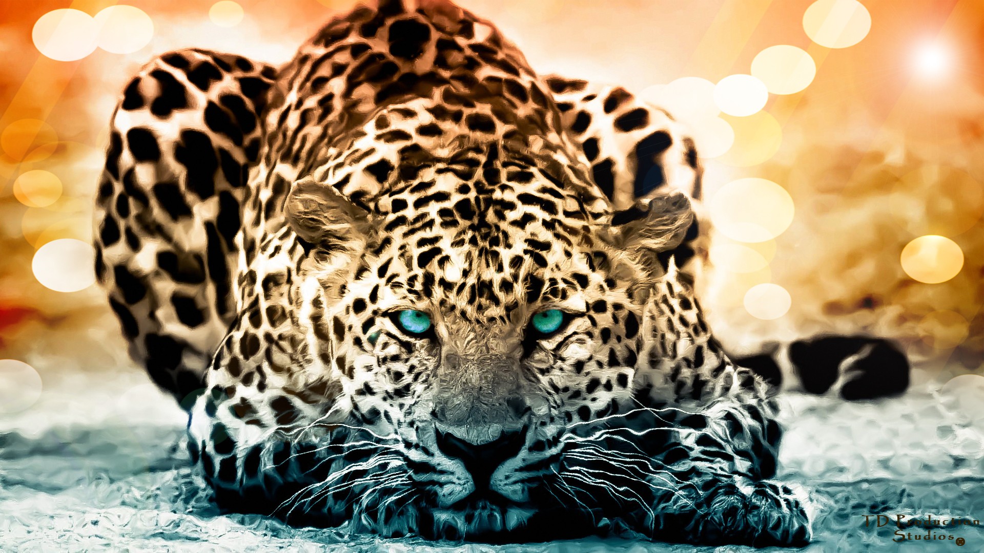 leopard Wallpaper