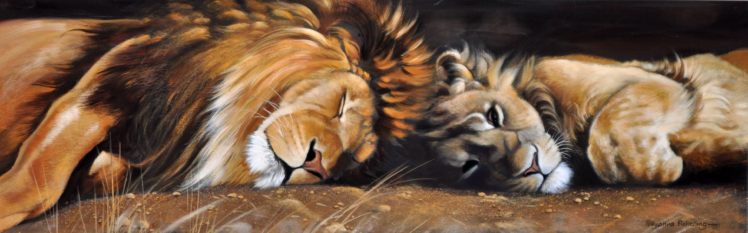 lions, Lion, Mane, Animals, Cats, Dual, Multi HD Wallpaper Desktop Background