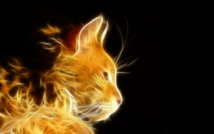photoshop, Light, Rays, Cat, Cats, Fractal HD Wallpaper Desktop Background