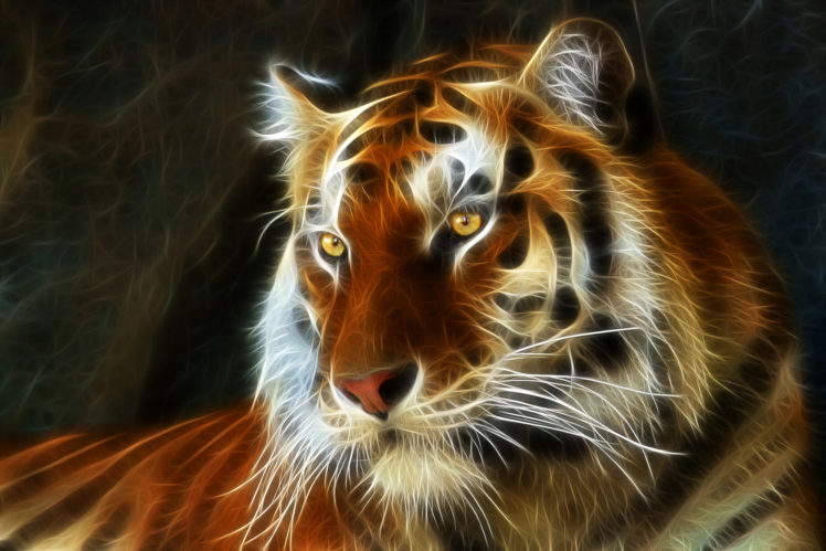 tiger, 3d, Art, Fractal HD Wallpaper Desktop Background