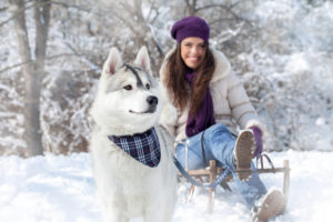 dog, Snow, Winter, Girl, Nature