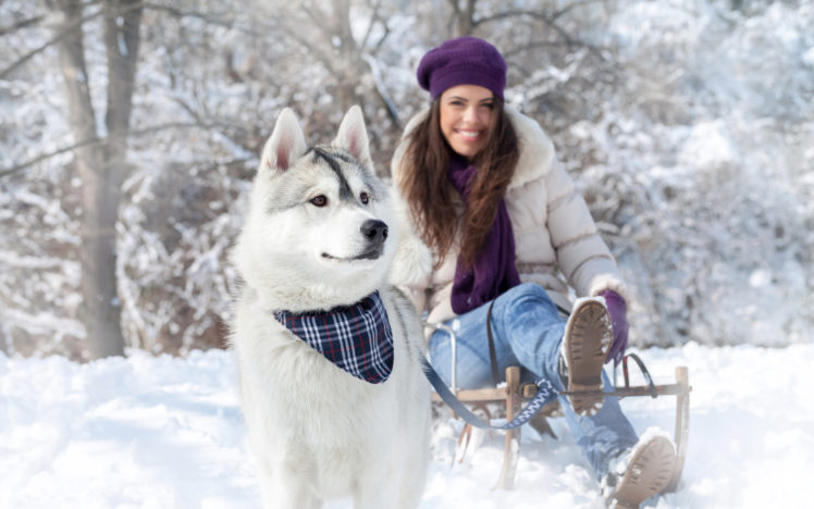 dog, Snow, Winter, Girl, Nature HD Wallpaper Desktop Background