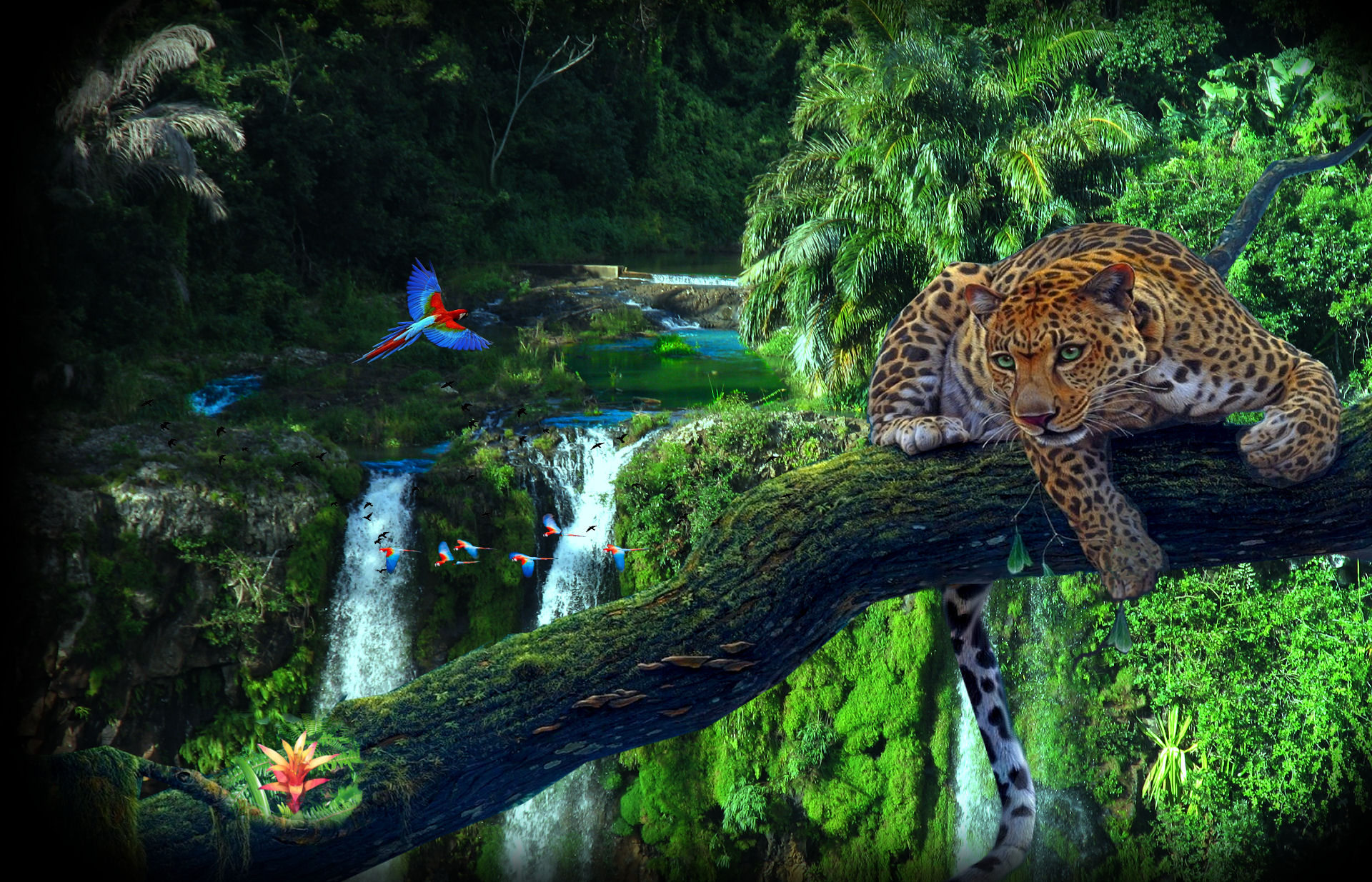 jungle, Wood, Leopard, Parrots Wallpaper