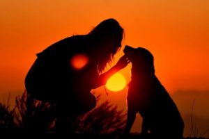 sunset, Love, Dogs, Master, Dusk