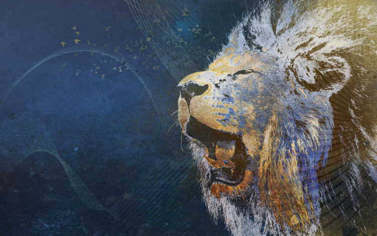 lion, Cat, Predator, Psychedelic HD Wallpaper Desktop Background