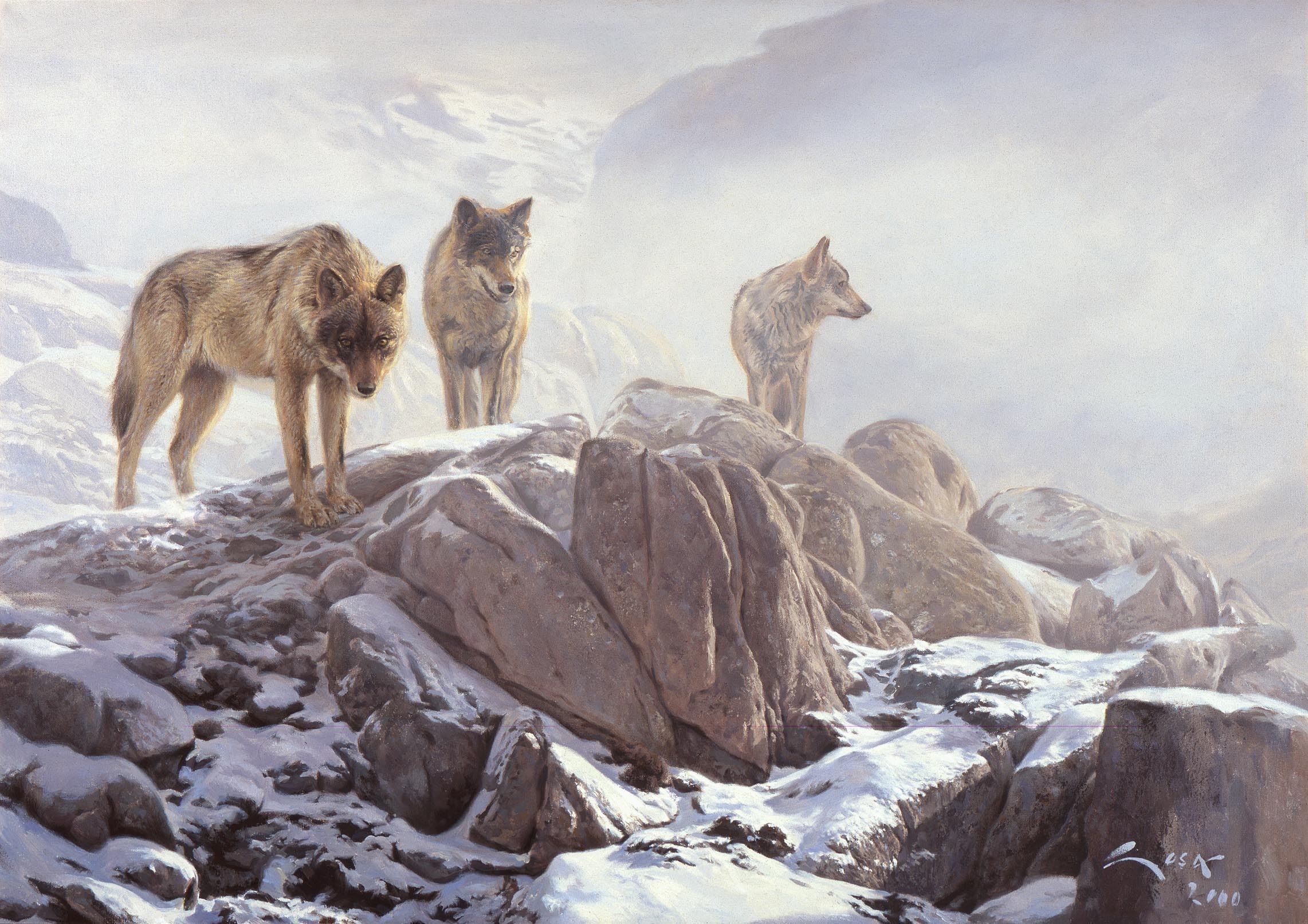 wolf, Wolves, Predator, Art, Rw Wallpaper