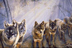 wolf, Wolves, Predator, Art