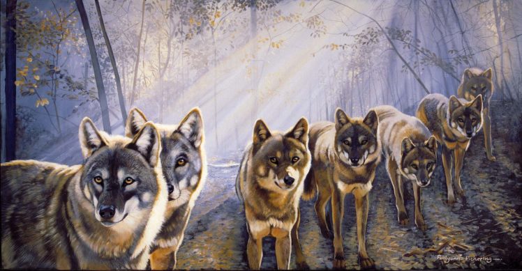 wolf, Wolves, Predator, Art HD Wallpaper Desktop Background