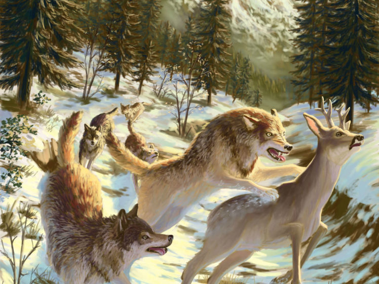 wolf, Wolves, Predator, Art, Ge HD Wallpaper Desktop Background