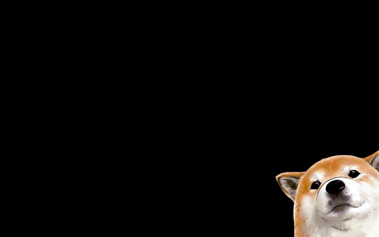 dogs, Corgi, Black, Background HD Wallpaper Desktop Background