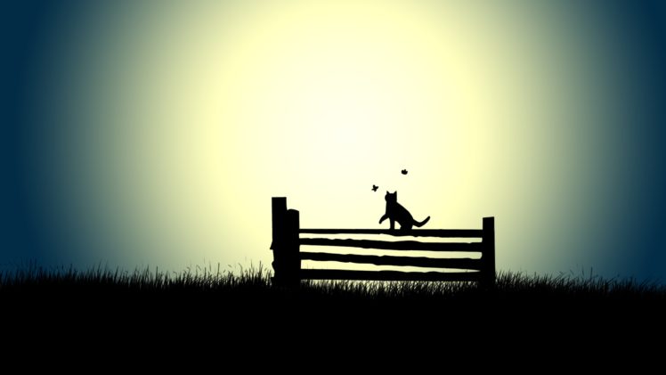 fence, Cat, Bokeh HD Wallpaper Desktop Background