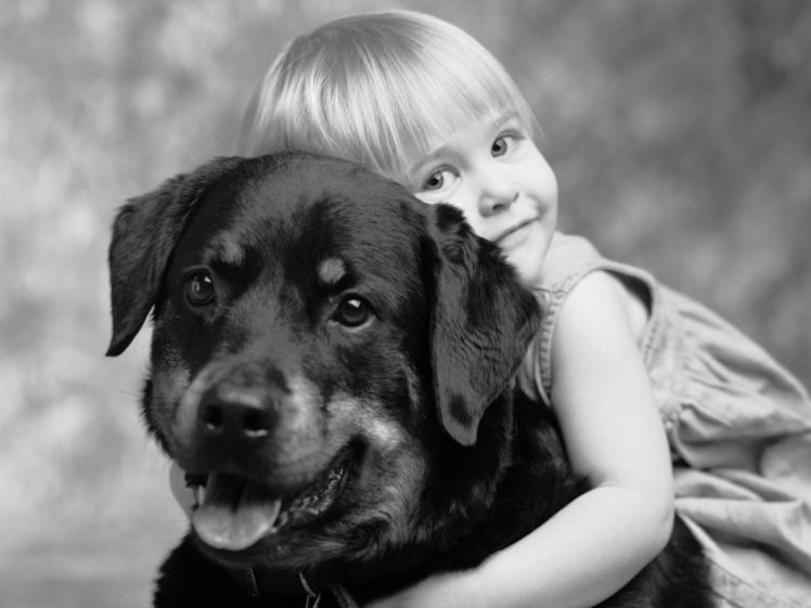 dogs, Grayscale, Monochrome, Friendship, Children HD Wallpaper Desktop Background