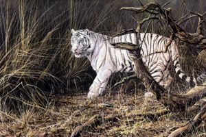 animals, Cats, Tiger, Painting, Art, Artistic, Nature, Forest, Landscapes