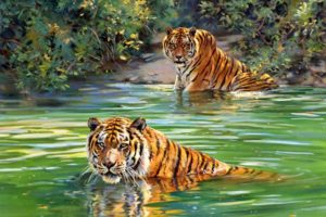 tigers, Art