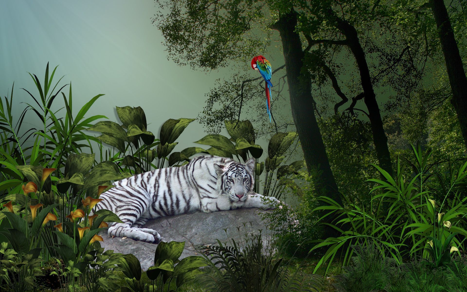 tiger, Birds, Parrot, Art, Cg, Fantasy, Trees Wallpaper