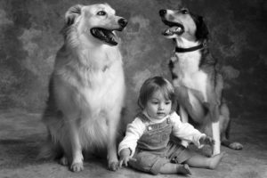 dogs, Grayscale, Friendship, Children
